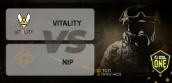 Vitality — NiP: прогноз на 22 апреля 2020